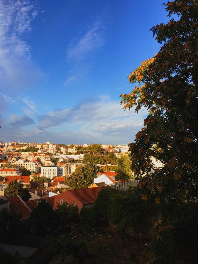Charm Discovery Principe 7 Lisbon Bagian luar foto